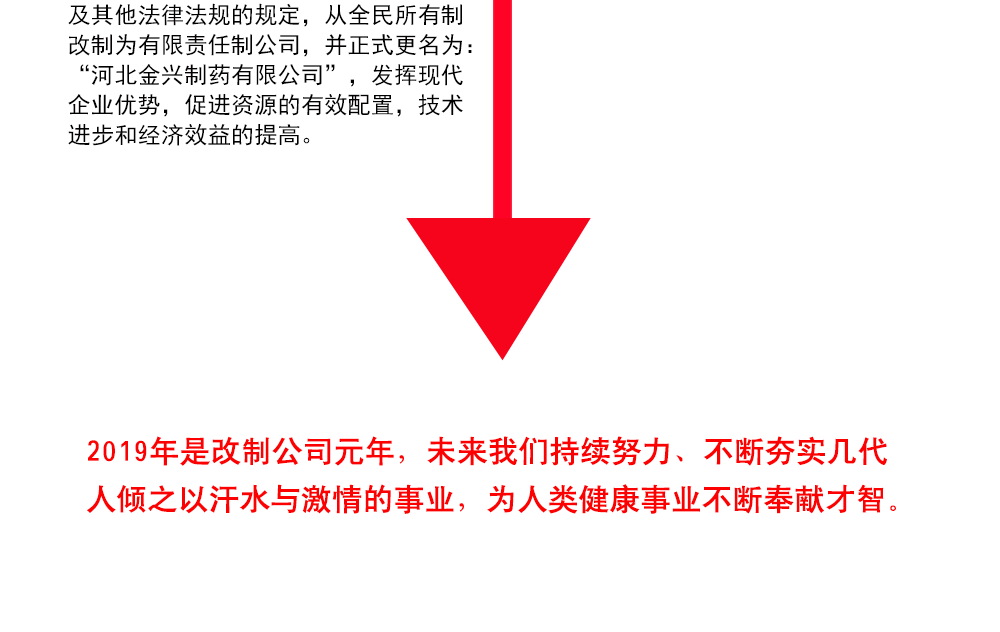 河北金兴制药有限公司